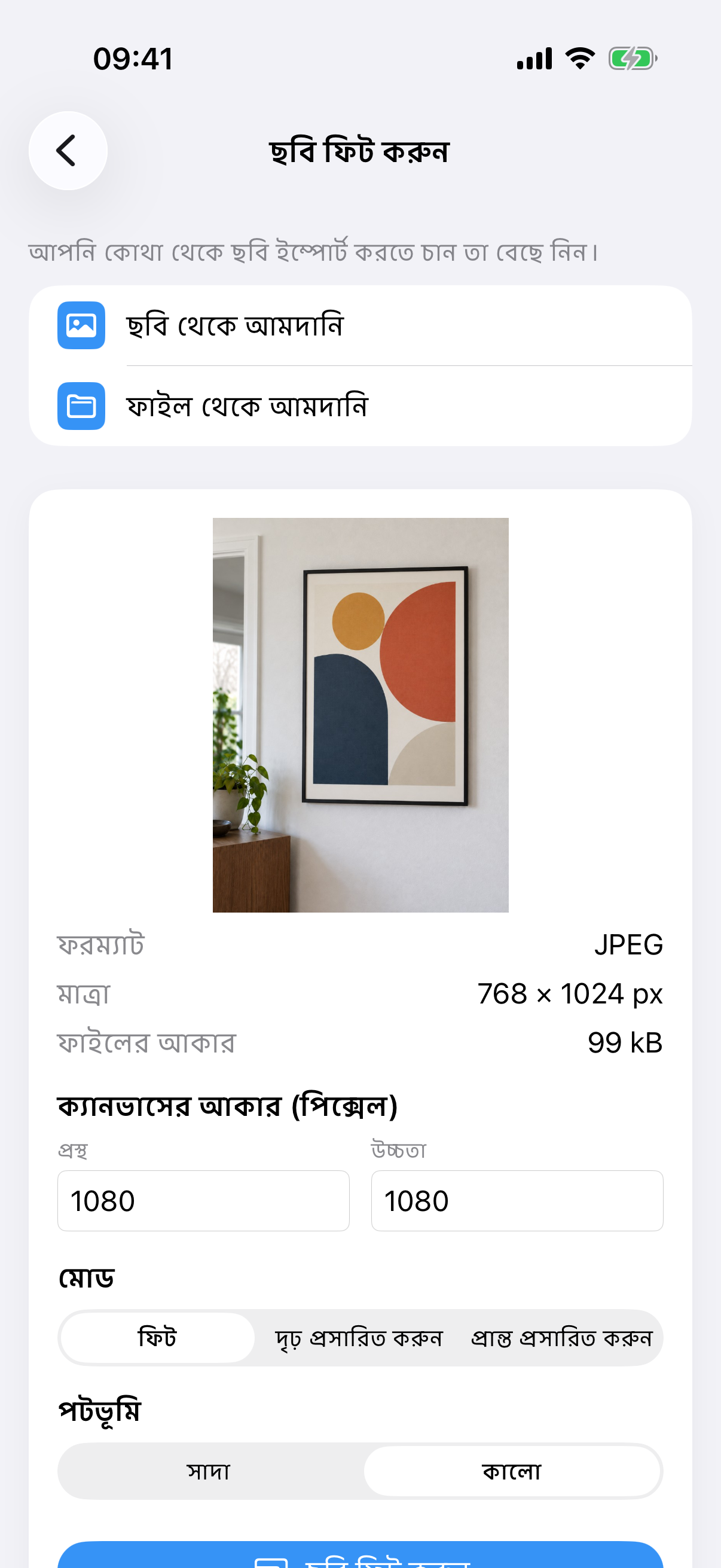 চিত্রকর্মের ছবি, ক্যানভাস আকার, ফিট মোড ও সাদা পটভূমিসহ ImageSetta ছবি ফিট করুন।