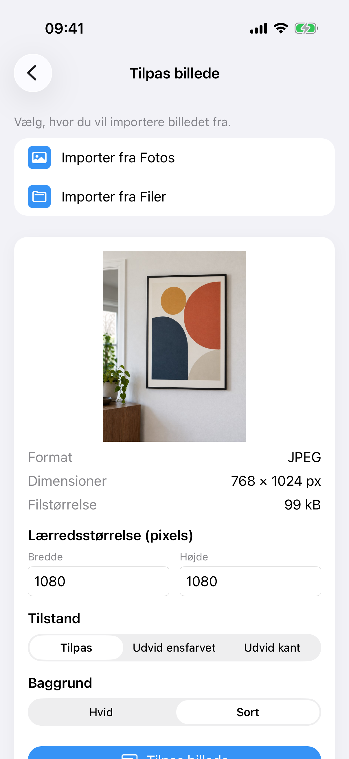 ImageSetta Tilpas billede med malerifotoet, lærredsstørrelse, Tilpas-tilstand og Hvid baggrund.