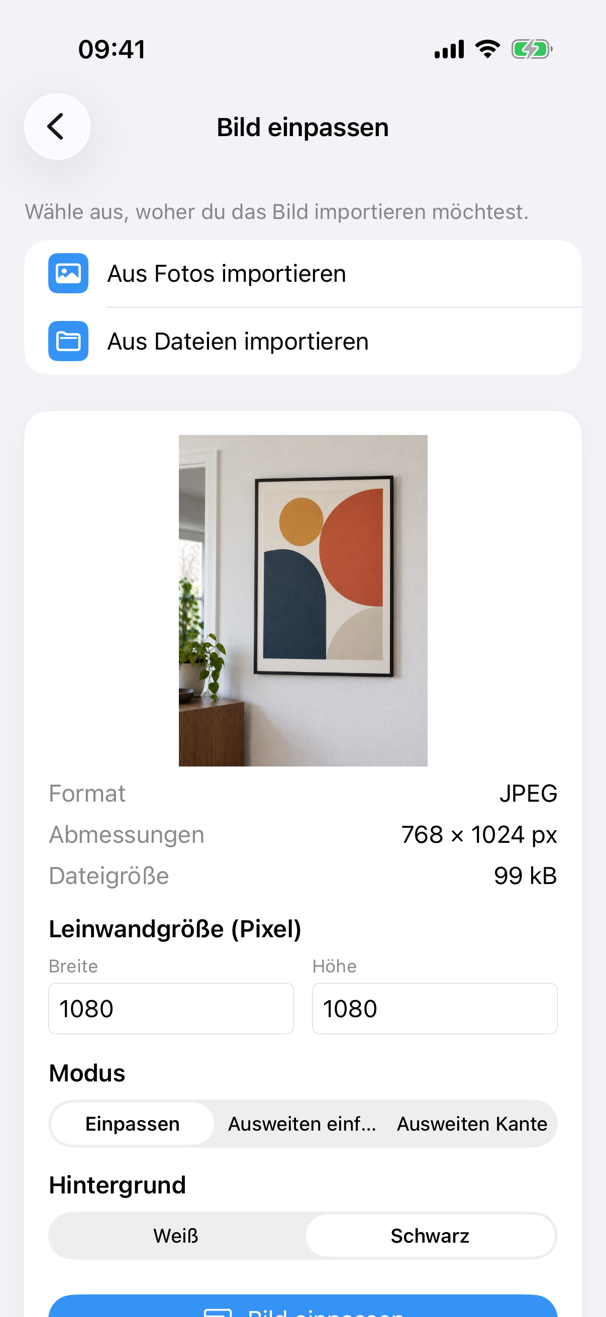 ImageSetta Bild einpassen mit dem Gemäldefoto, Flächengröße, Einpassen-Modus und Weiß Hintergrund.