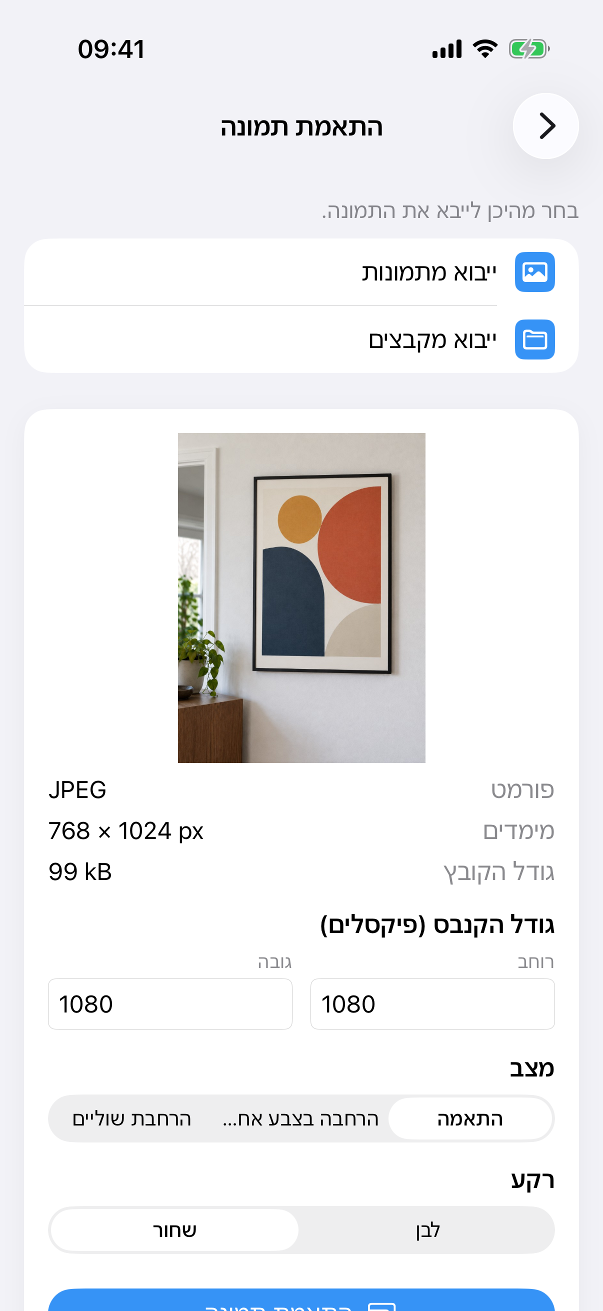 ImageSetta התאמת תמונה עם תצלום הציור, גודל בד, מצב התאמה ורקע לבן.