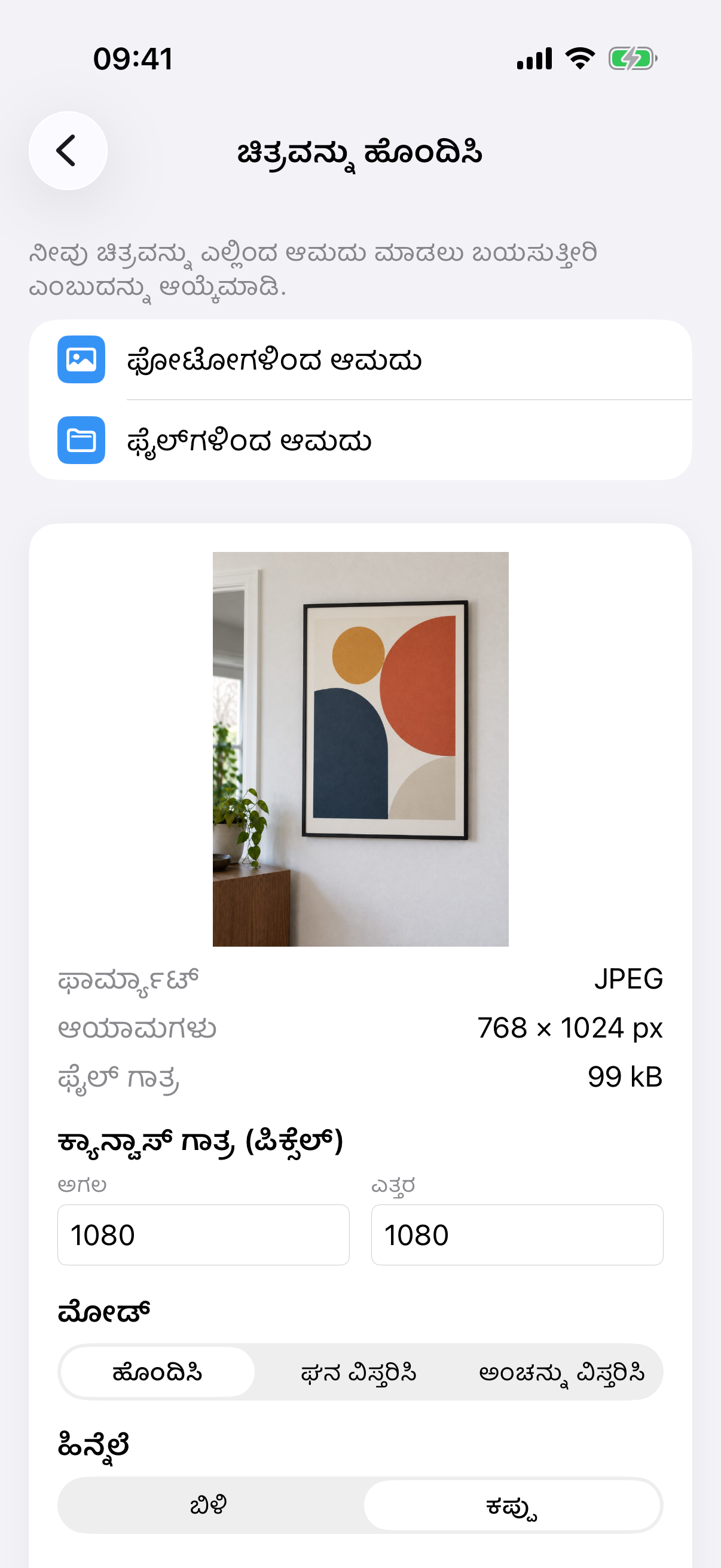 ಚಿತ್ರದ ಫೋಟೋ, ಕ್ಯಾನ್ವಾಸ್ ಗಾತ್ರ, ಹೊಂದಿಸಿ ಮೋಡ್ ಮತ್ತು ಬಿಳಿ ಹಿನ್ನೆಲೆಯೊಂದಿಗೆ ImageSetta ಚಿತ್ರವನ್ನು ಹೊಂದಿಸಿ.