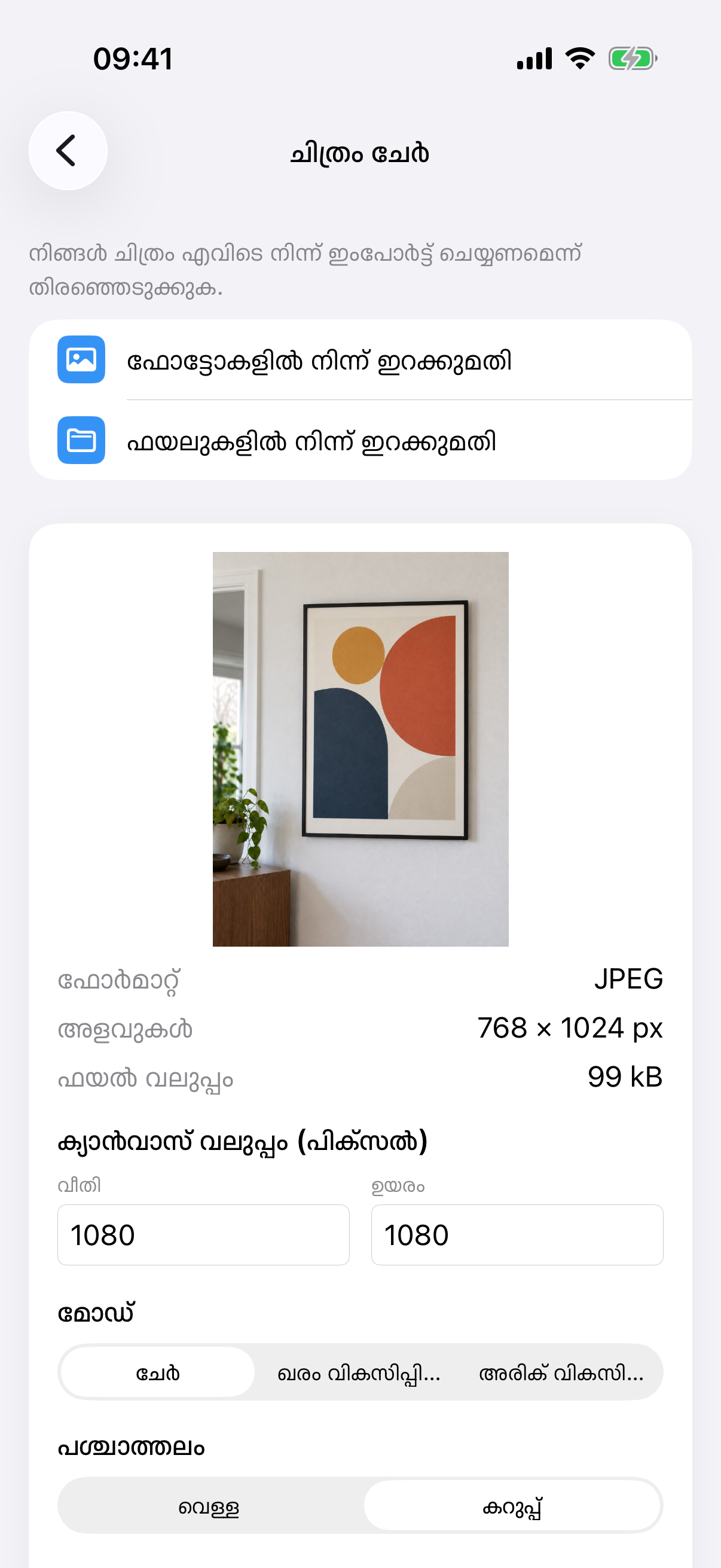 ചിത്ര ഫോട്ടോ, ക്യാൻവാസ് വലുപ്പം, ചേർ മോഡ്, വെള്ള പശ്ചാത്തലത്തോടുകൂടിയ ImageSetta ചിത്രം ചേർ.