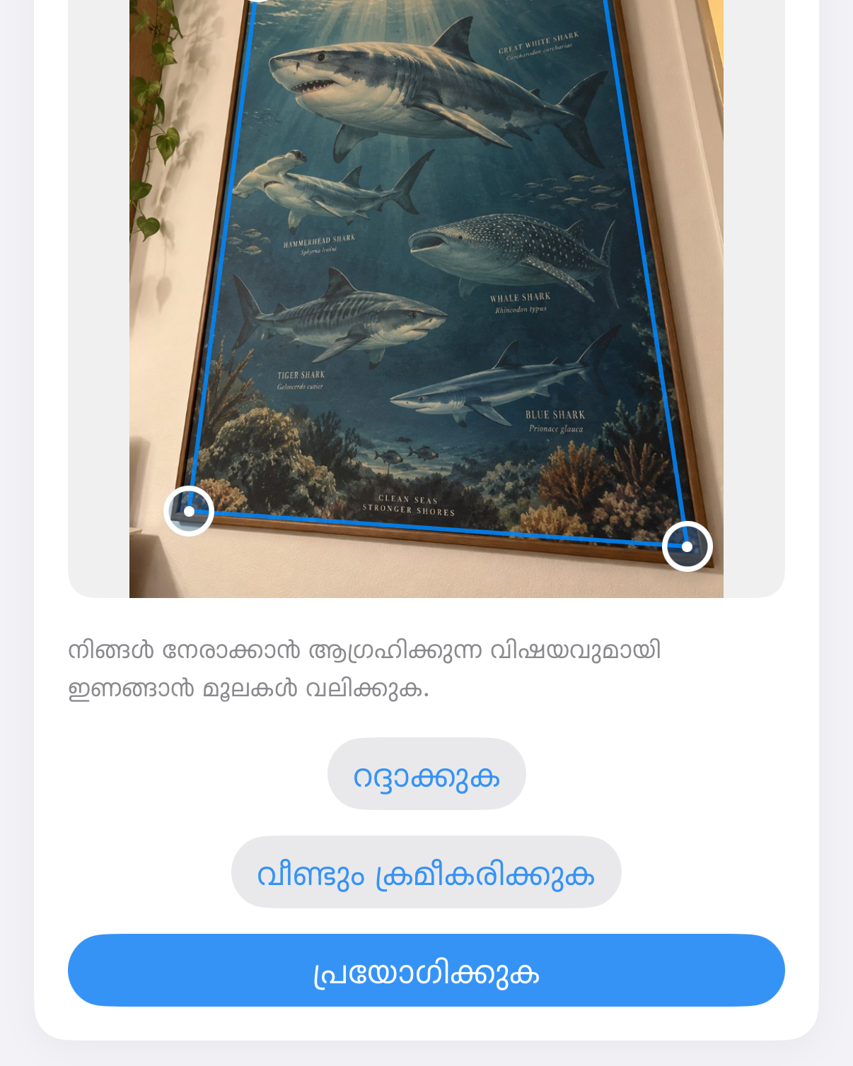 ImageSetta നേരാക്കുക: ചെരിഞ്ഞ് എടുത്ത സ്രാവ് പോസ്റ്റർ, കൃതിയിൽ നീല മൂല ഹാൻഡിലുകൾ.