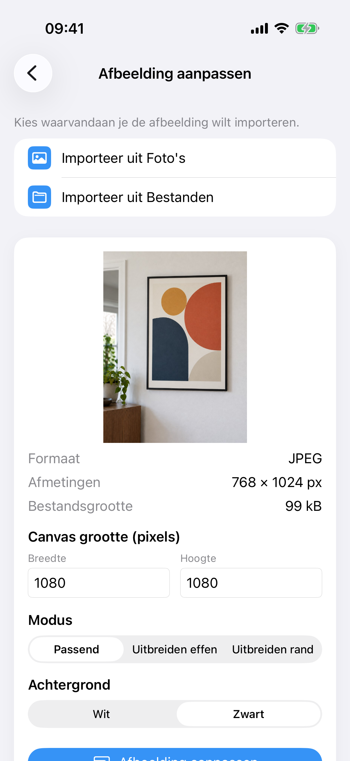 ImageSetta Afbeelding aanpassen met de schilderijfoto, canvasgrootte, Passend-modus en Wit achtergrond.
