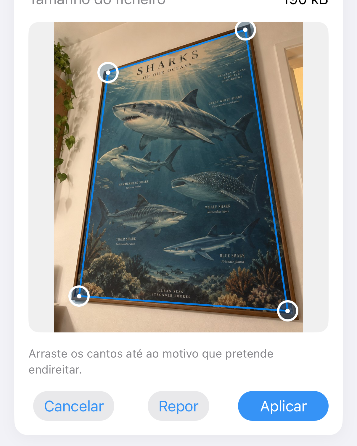 ImageSetta Endireitar: poster do tubarão fotografado em ângulo, com puxadores azuis na obra.