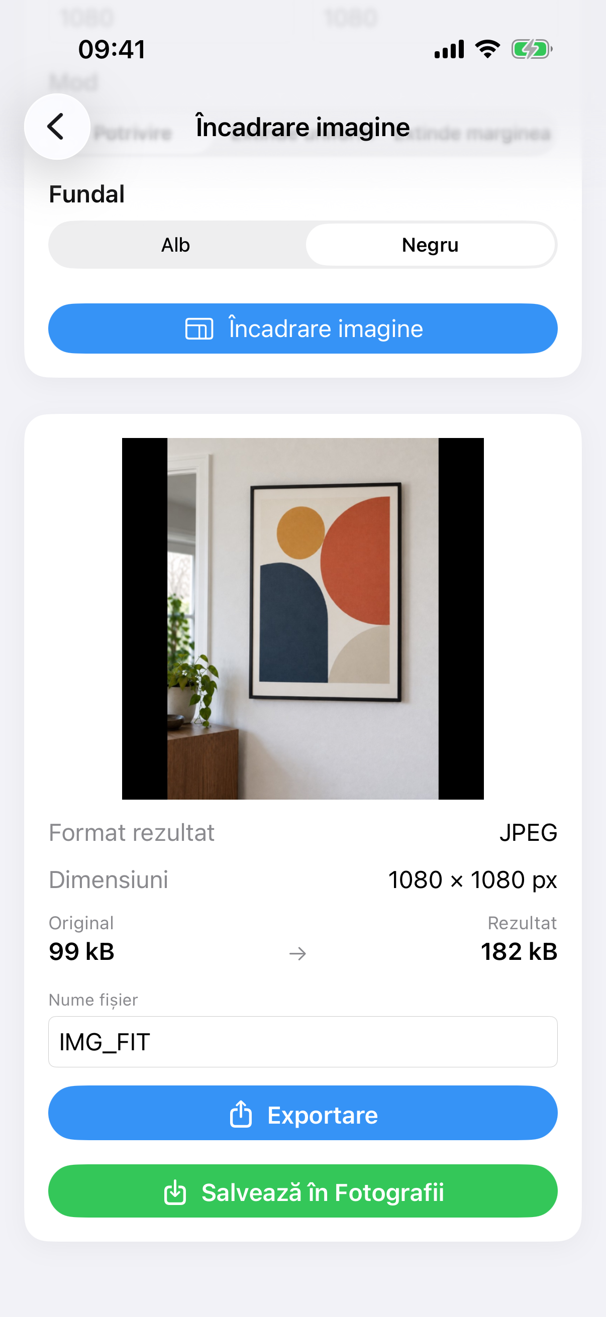 Rezultat ImageSetta Încadrare imagine: fotografia completă a tabloului pe un canvas alb pătrat.