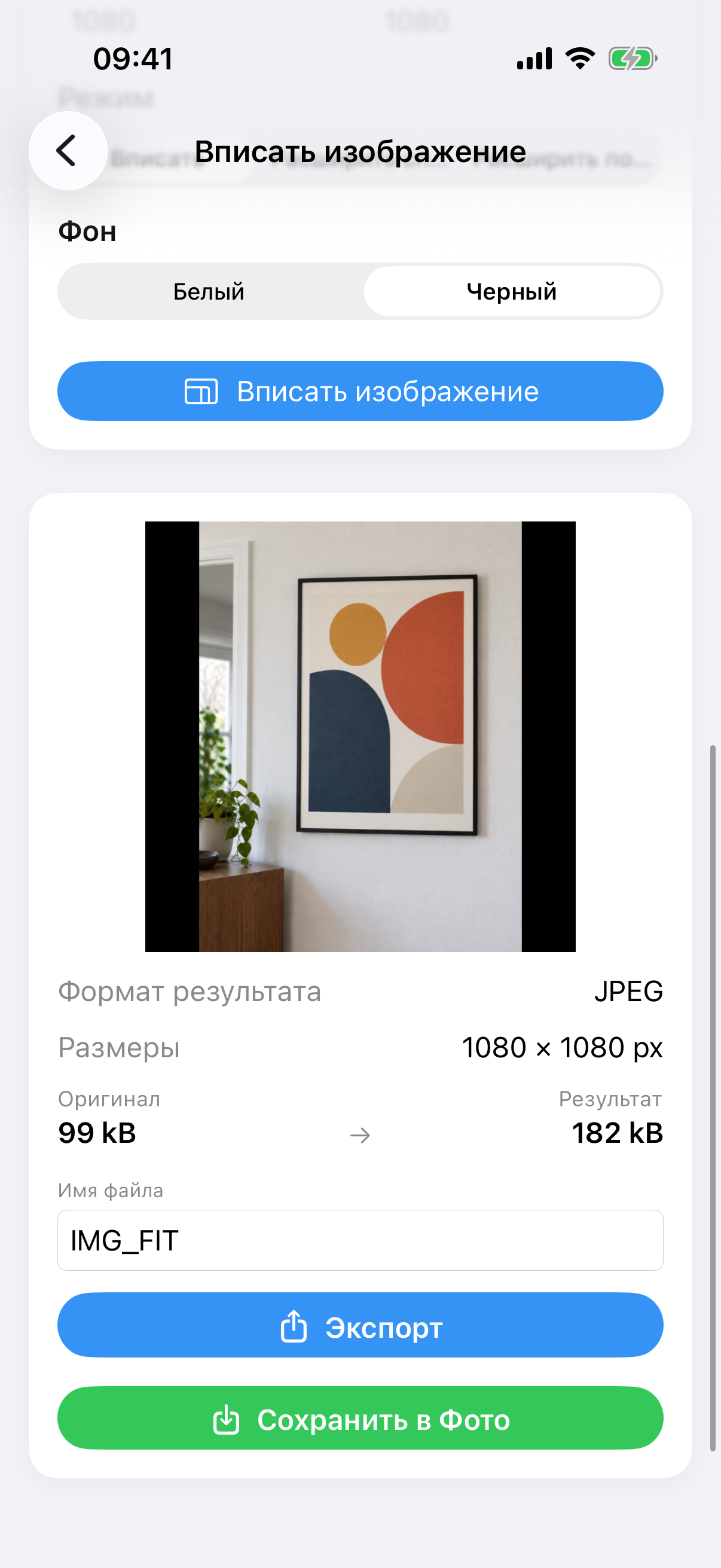 Результат ImageSetta Вписать изображение: полное фото картины на квадратном белом холсте.