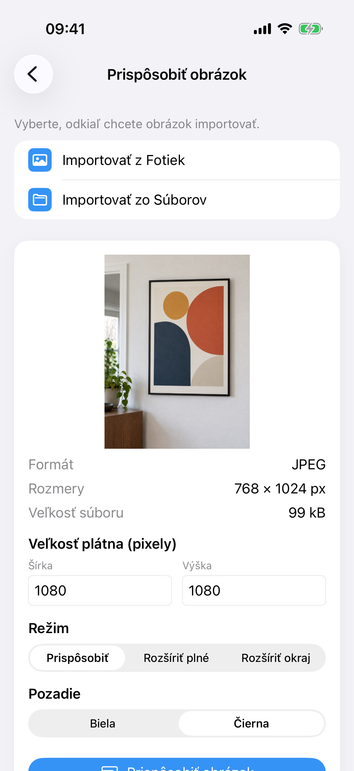 ImageSetta Prispôsobiť obrázok s fotkou obrazu, veľkosťou plátna, režimom Prispôsobiť a pozadím Biela.