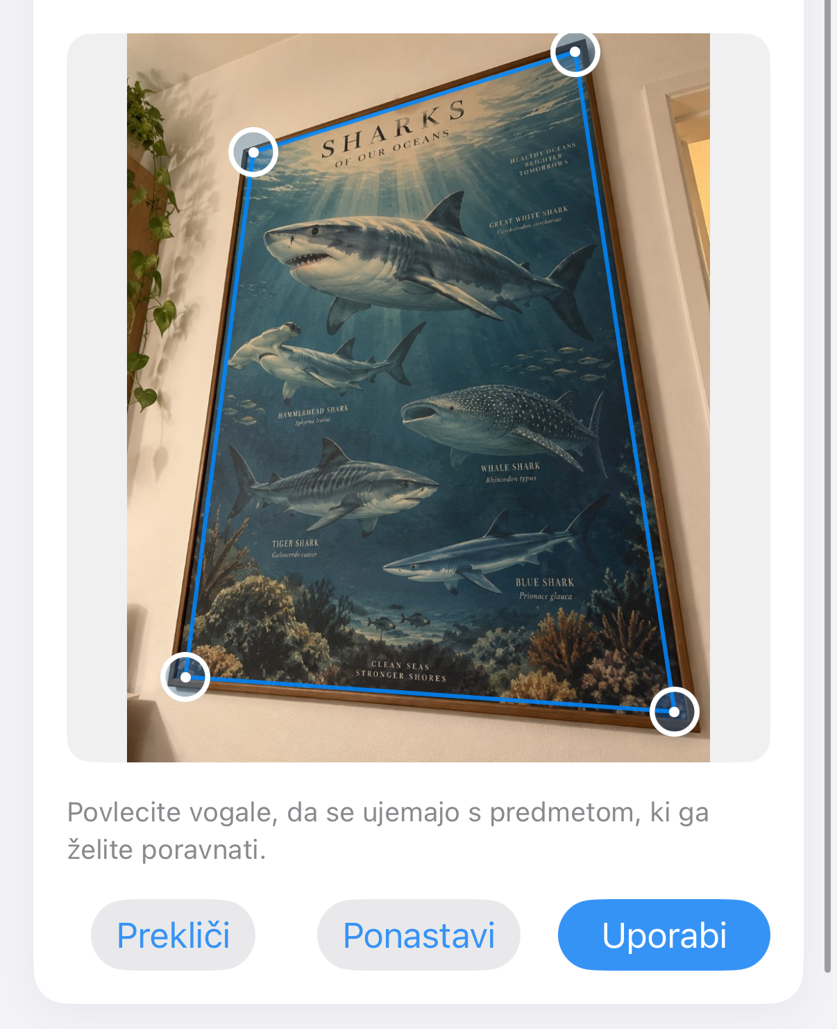 ImageSetta Poravnaj: plakat z morskim psom, posnet poševno, z modrimi ročaji na delu.