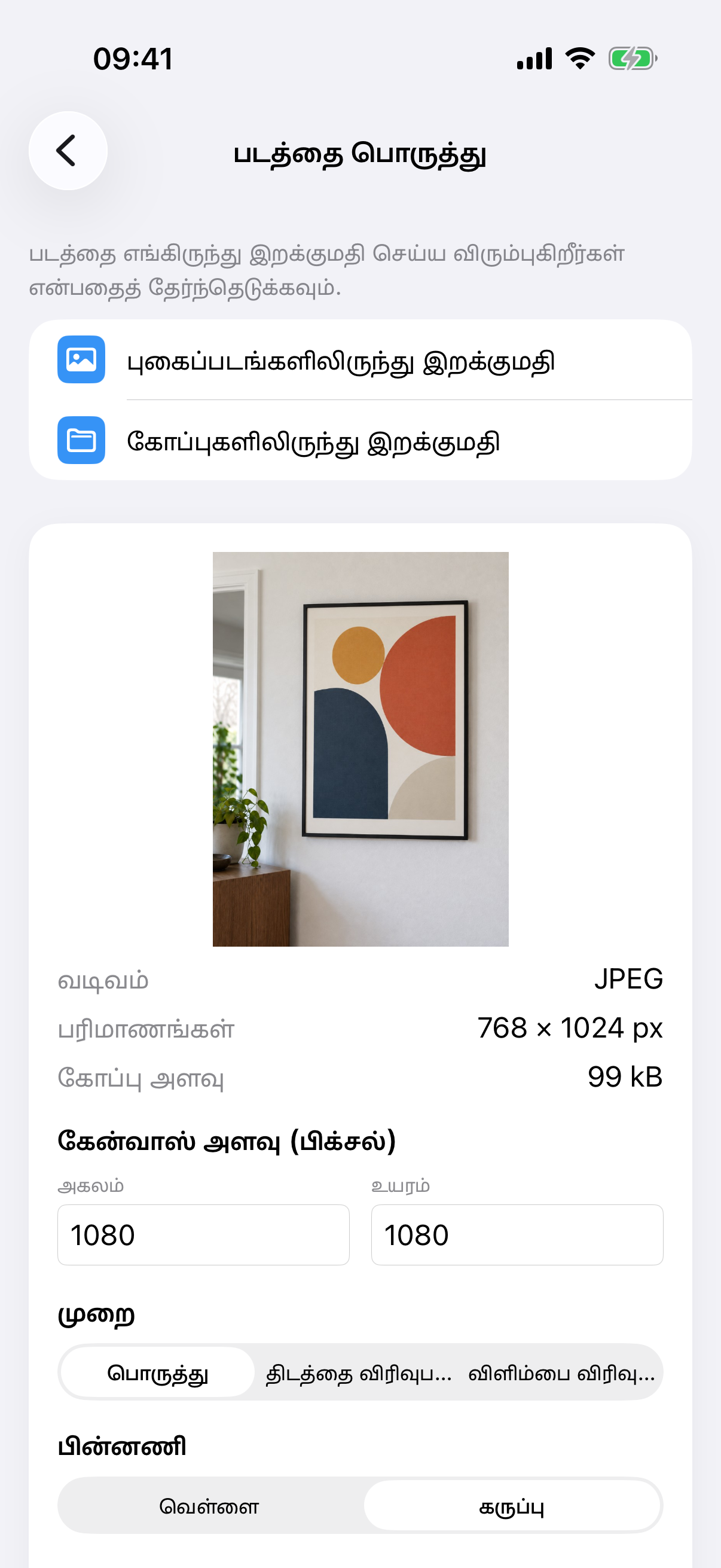 ஓவியப் புகைப்படம், கேன்வாஸ் அளவு, பொருத்து முறை, வெள்ளை பின்னணியுடன் ImageSetta படத்தை பொருத்து.